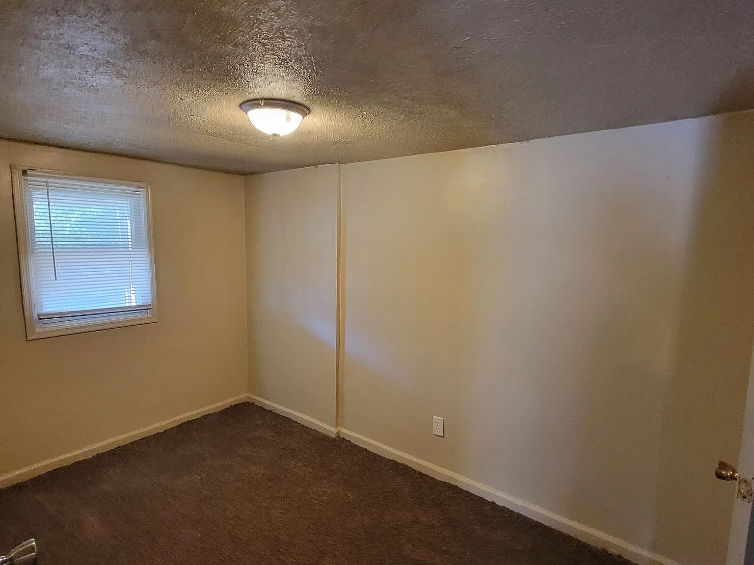 3 bed, 1.5 bath, $1,100 — Photo 2