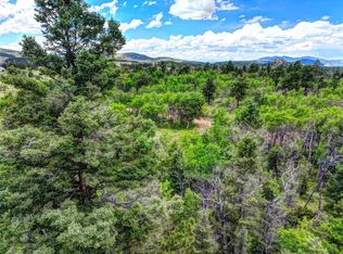 174 Elk View Rd, Lake George, CO 80827