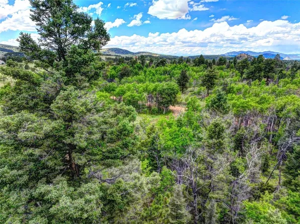 174 Elk View Road, Lake George, CO 80827