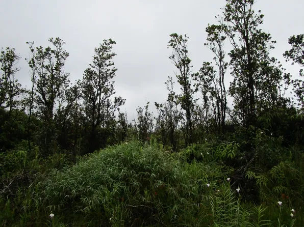 Alapua St Lot 45, Mountain View, HI 96771