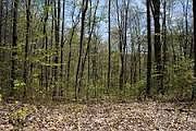 2nd image of Copper Ridge Rd