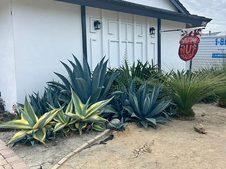 185 Harvard Ln — Photo 20