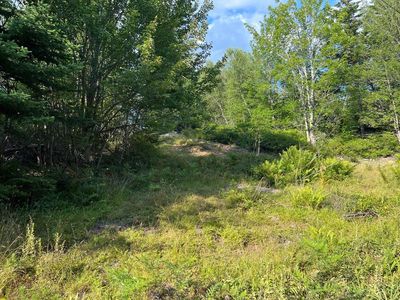 Lot #6 Zion Farm Road, Vinalhaven, ME, 04863