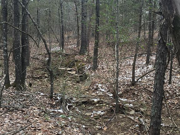 3rd image of 12 Ouachita Dr