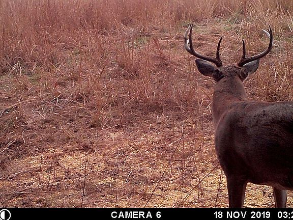 3rd image of Brown Sisters Rd #3025