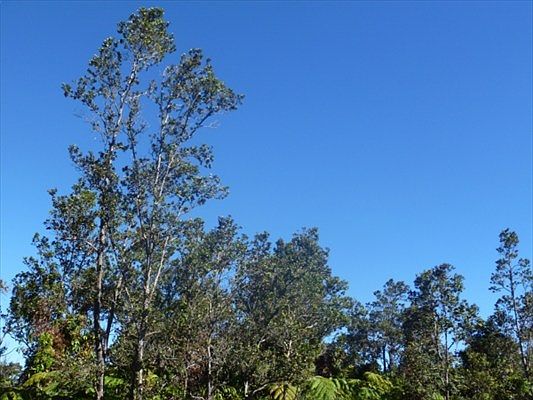 5th image of Nahelenani St Lot 513