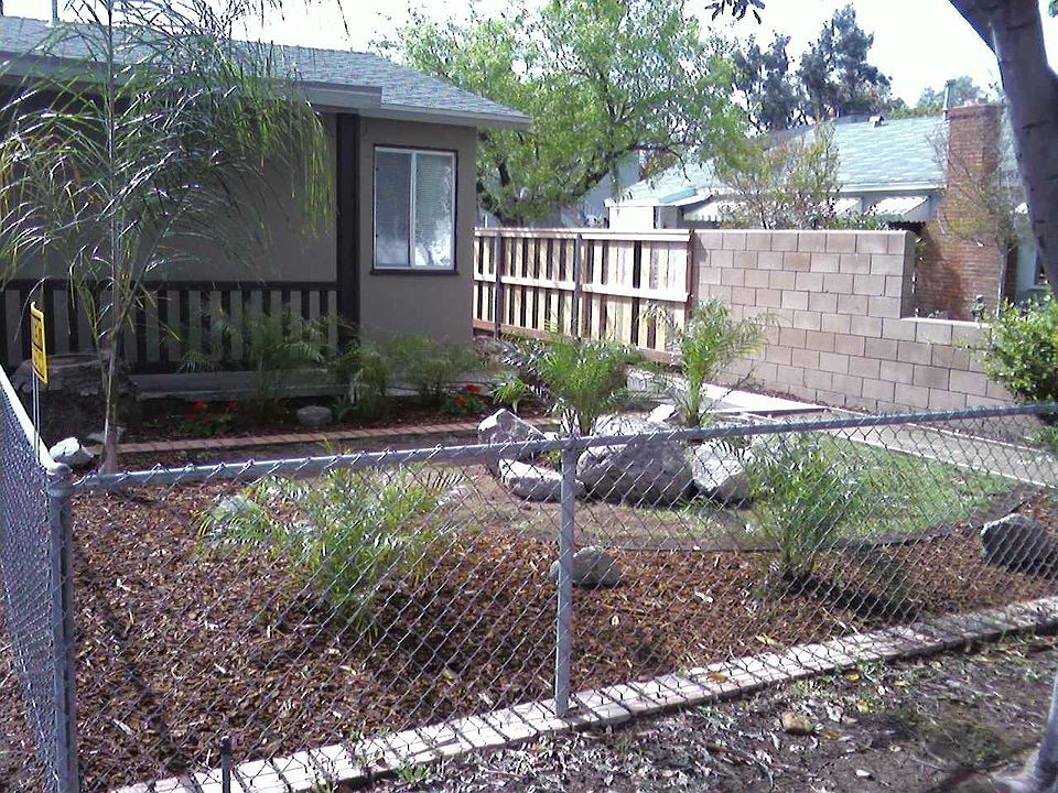 Front Yard