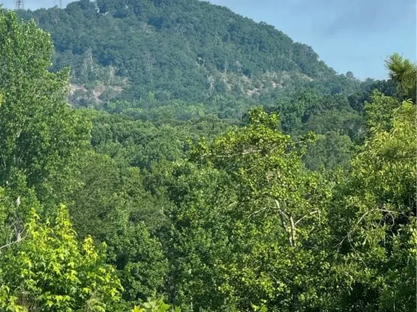 TRACT 2 Hawk Ln, Easley, SC 29640