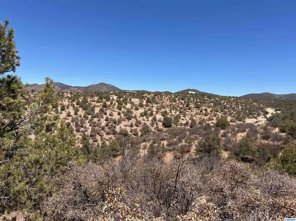 26 Babbling Brk, Silver City, NM 88061