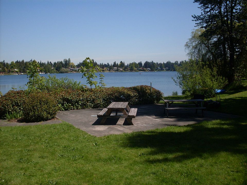SDC11169_01072013