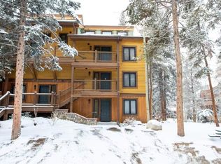 820 Columbine Rd #23, Breckenridge, CO 80424