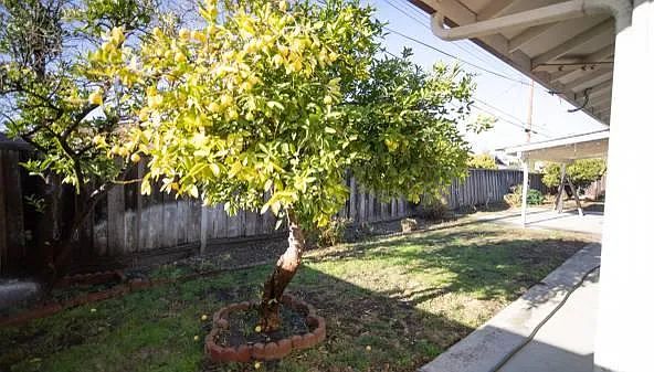 40975 Chiltern Dr — Photo 14
