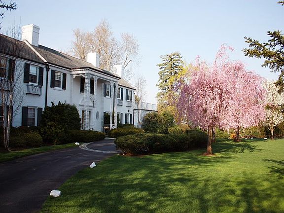 Sophisticated Elegance