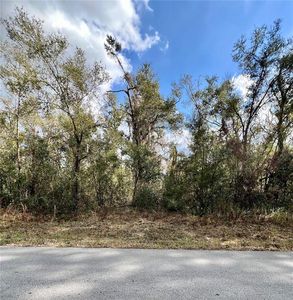 Smallman St #16, Webster, FL, 33597