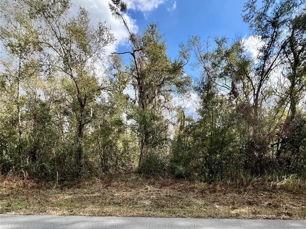 Smallman St #16, Webster, FL 33597