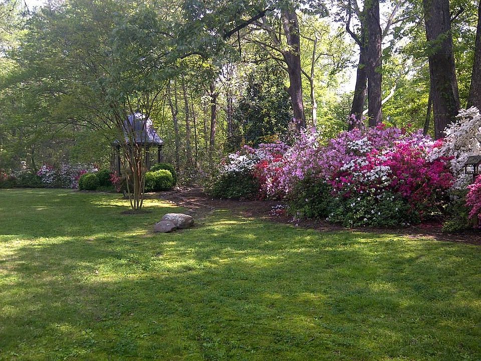 Backyard 03312012