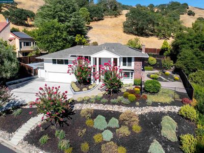 2646 Roundhill Dr, Alamo, CA, 94507