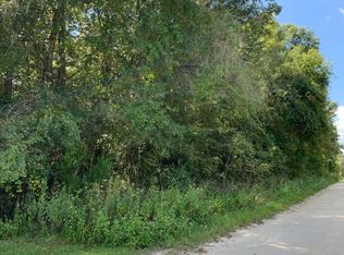 12290 NW 7th Pl, Ocala, FL 34482
