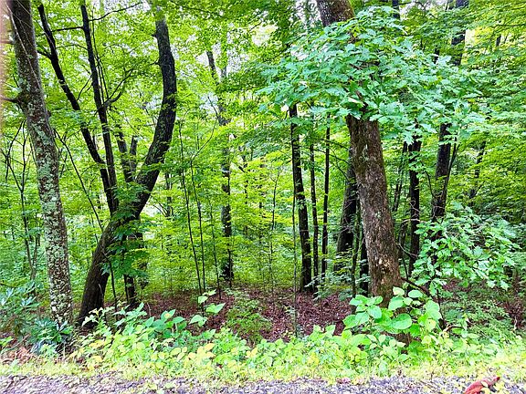 3rd image of 505 Mountainside Dr #27-28-32