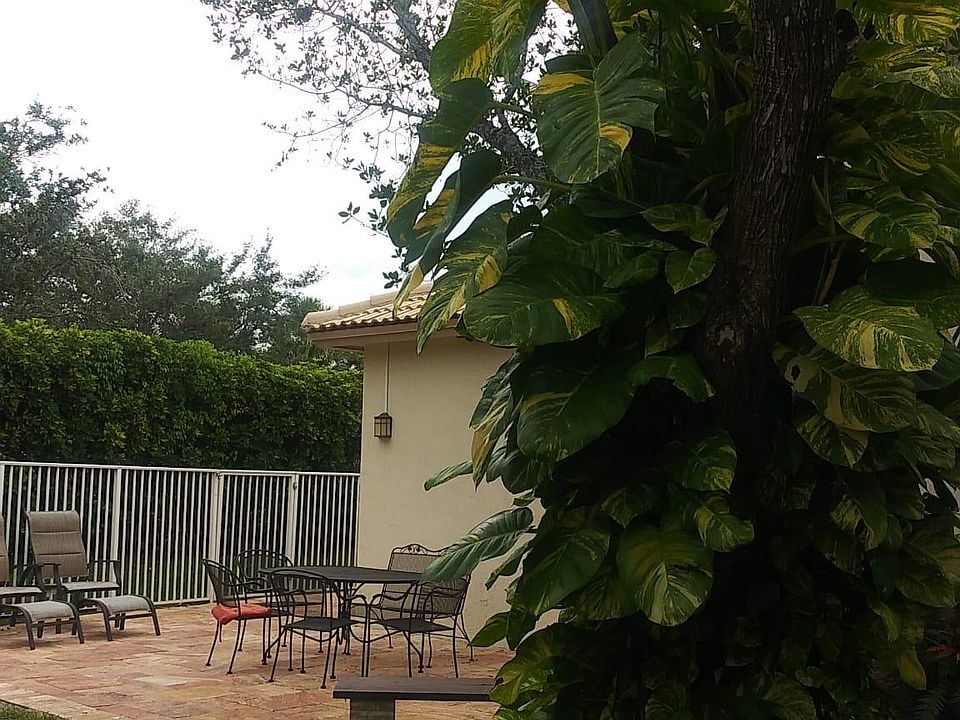 Backyard with patio pavers