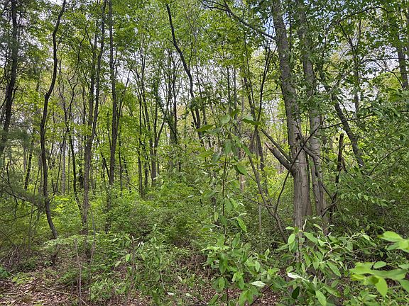 2nd image of PARCEL 2 Edgerton Ct