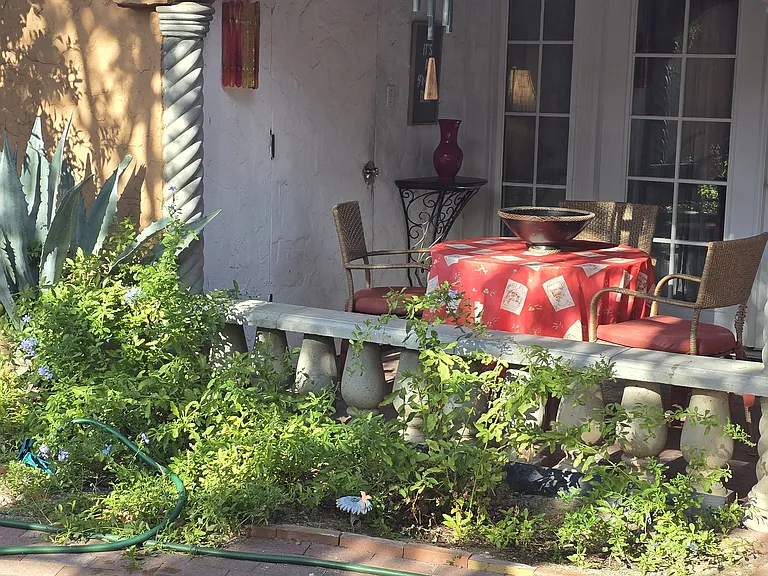 61 N Las Yucas — Photo 4