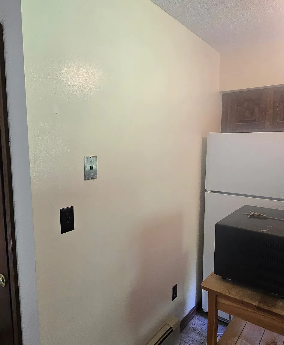 3 bed, 1010 sqft, $3,000 — Photo 3
