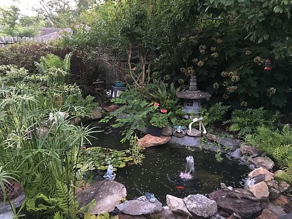 Ornamental Fish pool