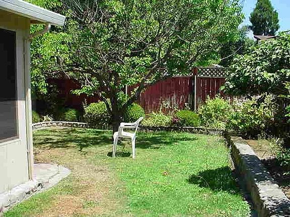 manicured back yard