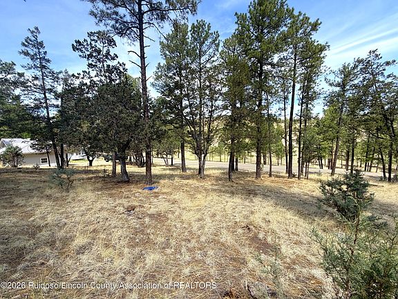 5th image of 66 Fort Stanton Rd