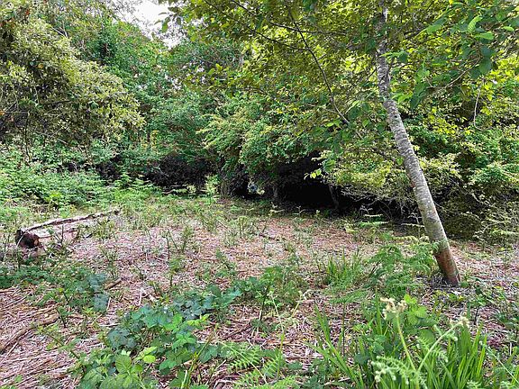 2nd image of 925 Small Ave