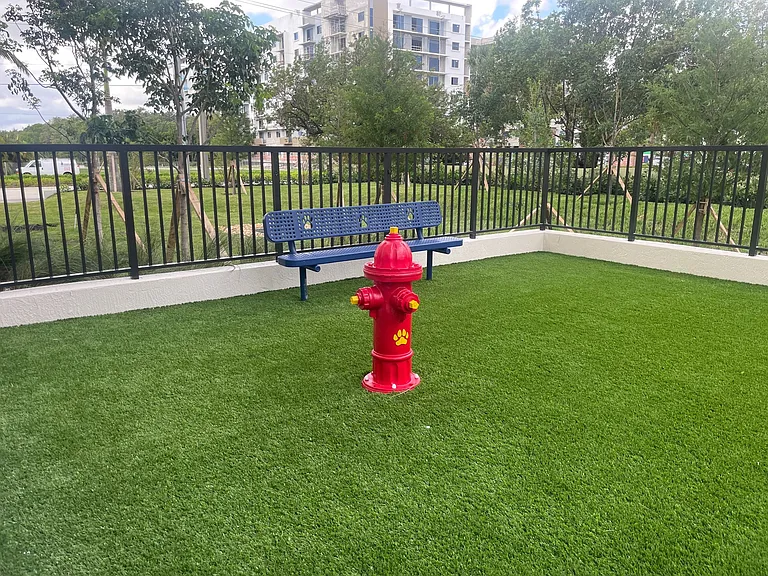 Bark Park
