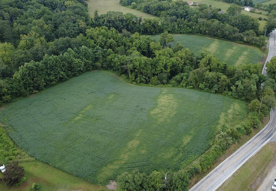 1st image of Million Dollar Rd