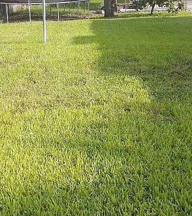 5th image of 14945 NW 11th Ave