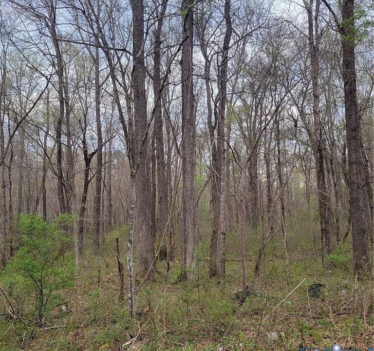 1st image of 11121 Coalboro Rd Lot 47