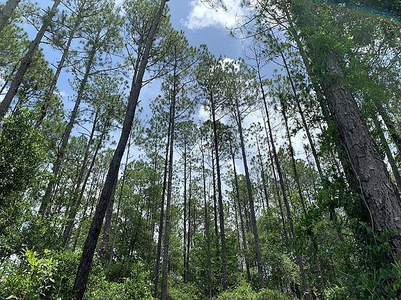 3rd image of 2020 NW County Road 341