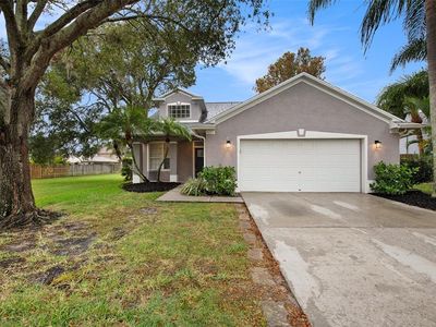 423 Cypress View Dr, Oldsmar, FL, 34677