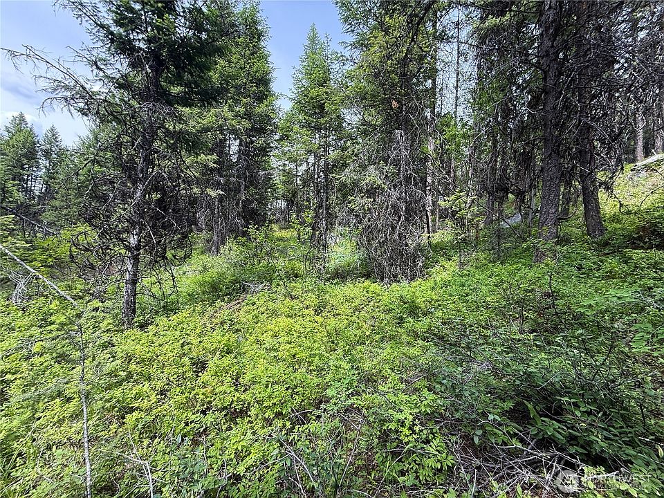 1st image of 0 Mule Deer