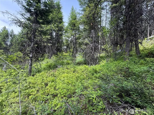 0 Mule Deer, Republic, WA 99166