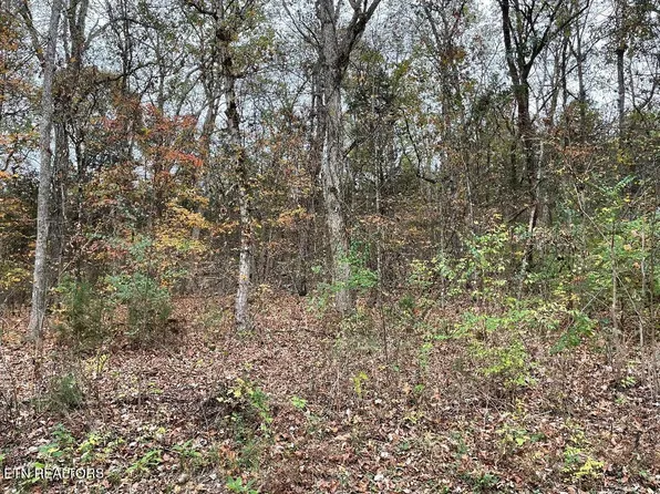0 Channel Dr Lot 13, Louisville, TN 37777