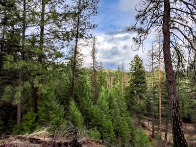 568B Dolomite Rd, Colville, WA, 99114