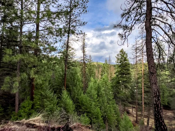 568B Dolomite Rd, Colville, WA 99114