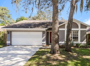 2608 Shilo Ct, Valrico, FL 33596