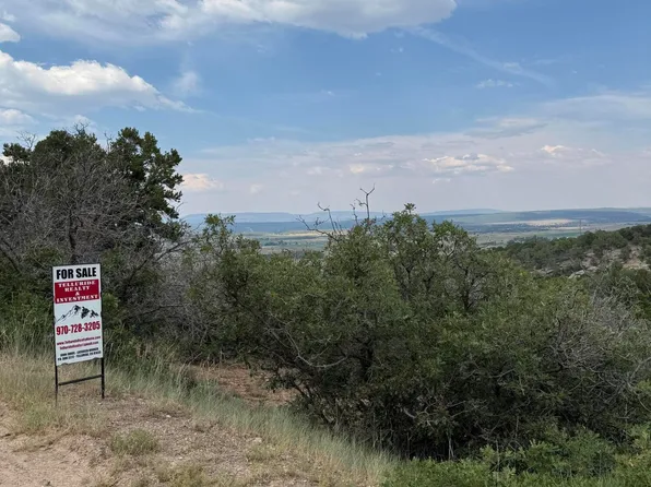 10 Juniper Dr Lot 10, Norwood, CO 81423