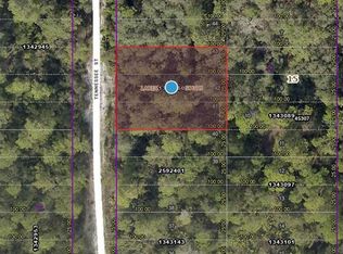 Tennessee St Lot 4100, Paisley, FL 32767