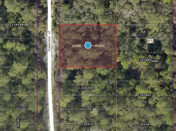Tennessee St Lot 4100, Paisley, FL 32767