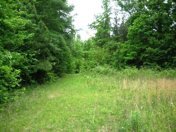 3rd image of 1206 Holly Creek Dr