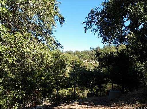 2nd image of Overlook Ln