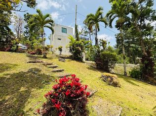 CARR 1 RUTA 715KM 3.5 LOTE 3, CAYEY, PR 00736