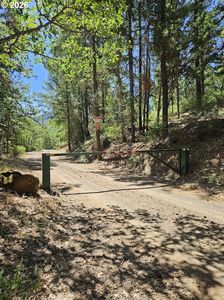 Lovers Ln, Wahkiacus, WA, 98670